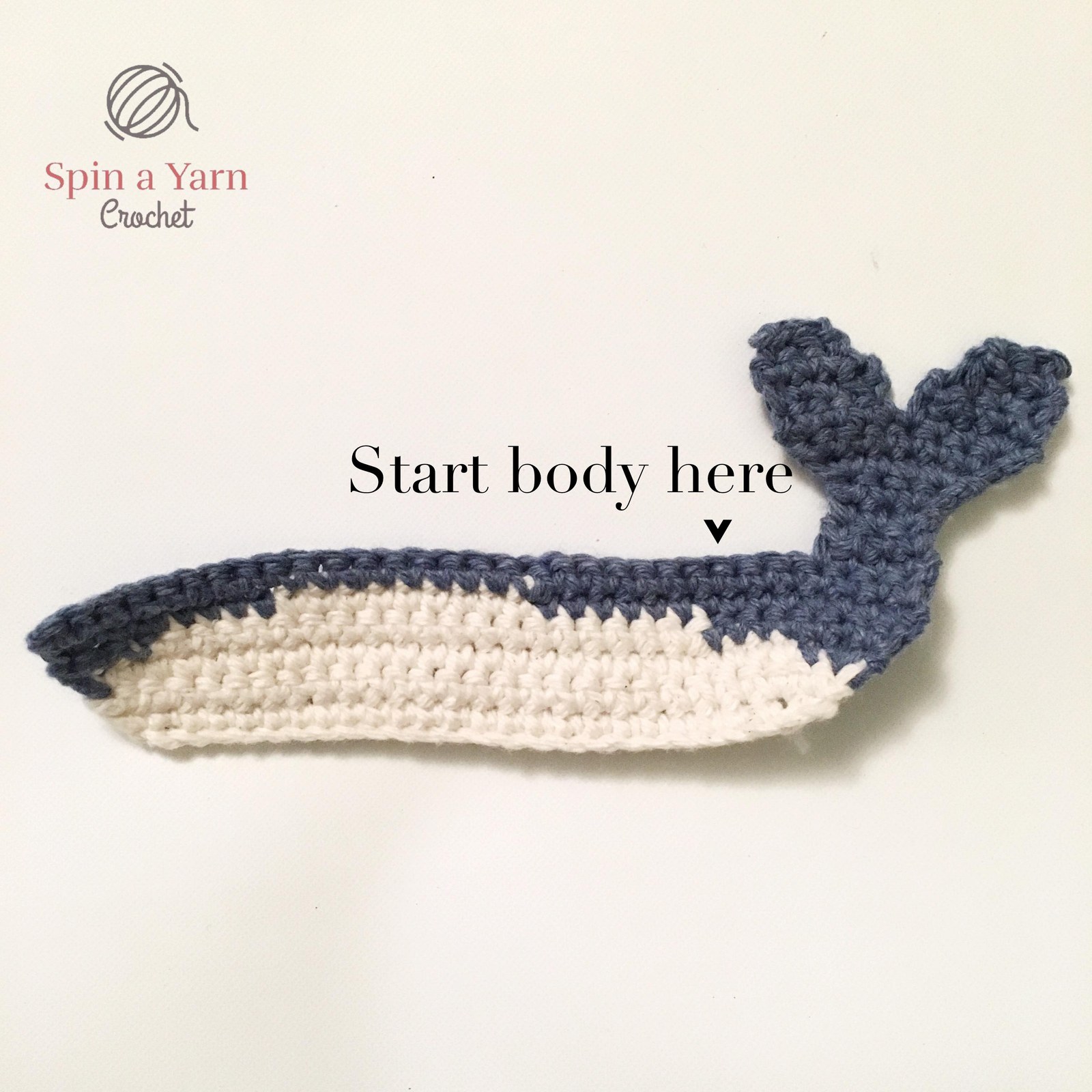 Starting point for body of blue whale