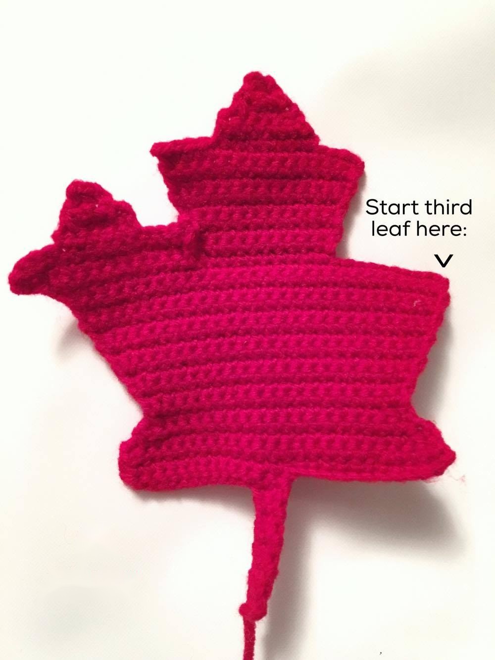 Third Leaf