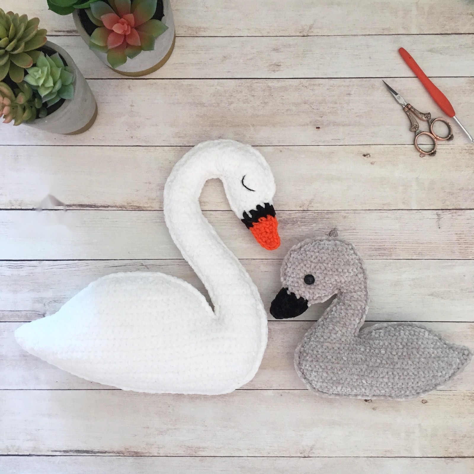Swan and Cygnet
