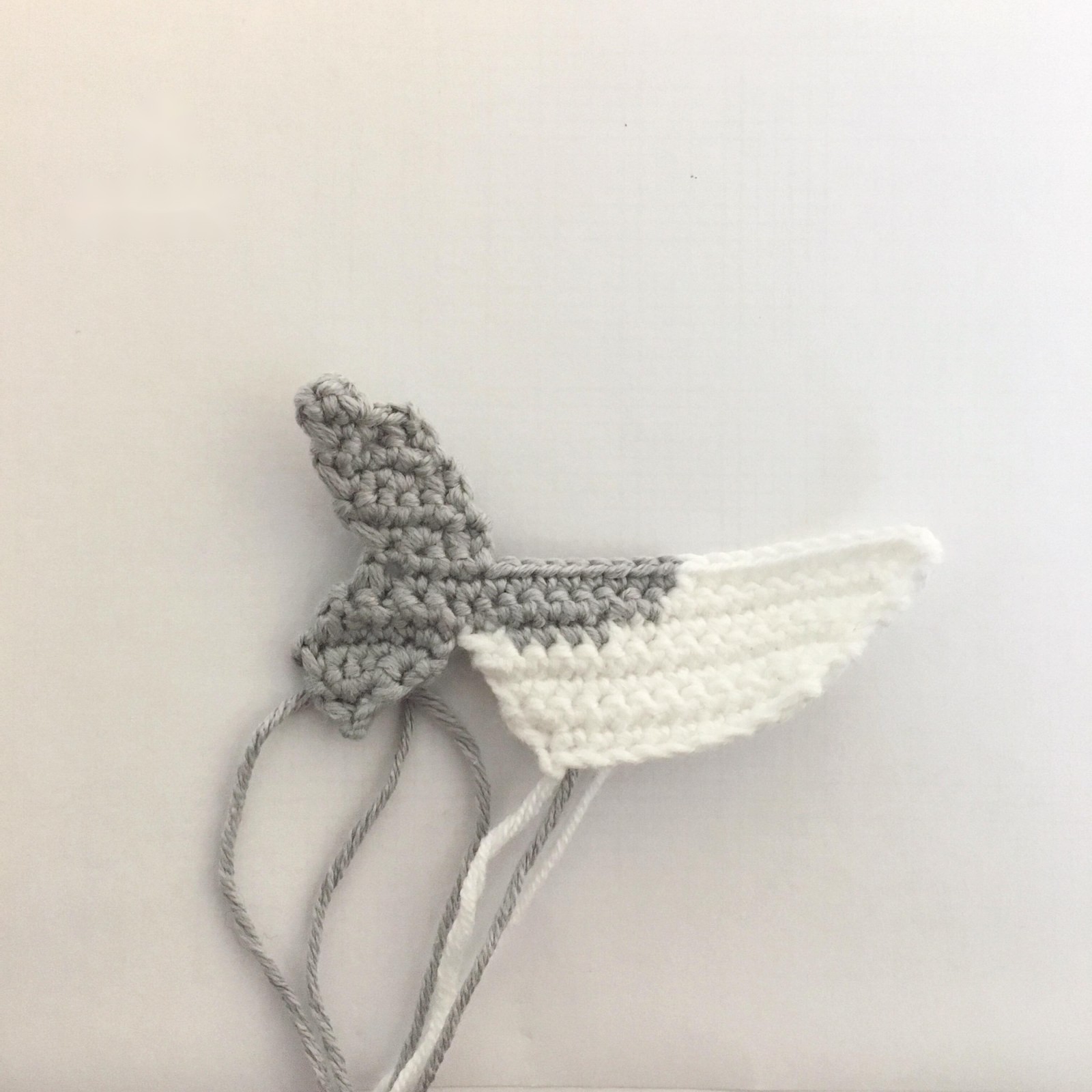Shark progress